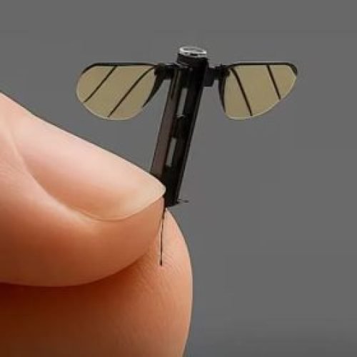 China Apresenta Drone do Tamanho de um Mosquito — A Realidade Ultrapassa a Ficção